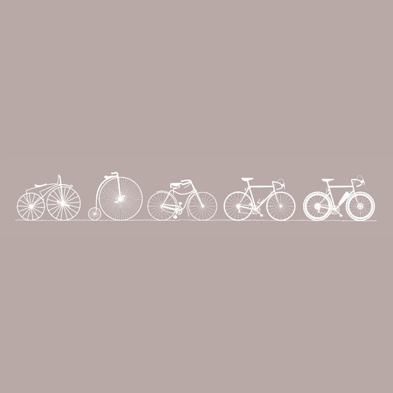 Evolution Bicycle - Old - History - Invention