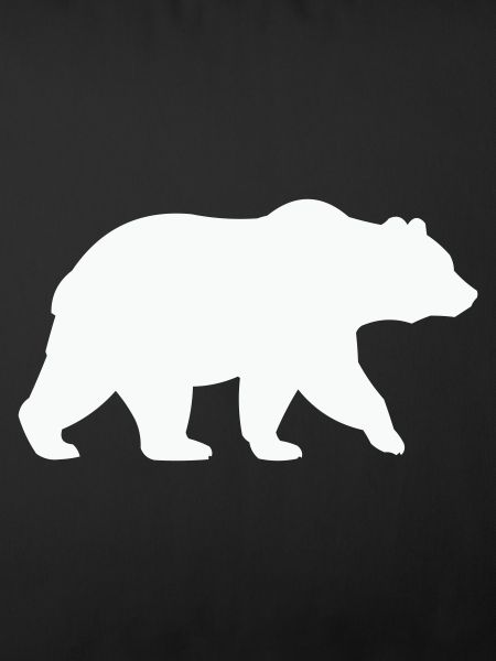 baer-