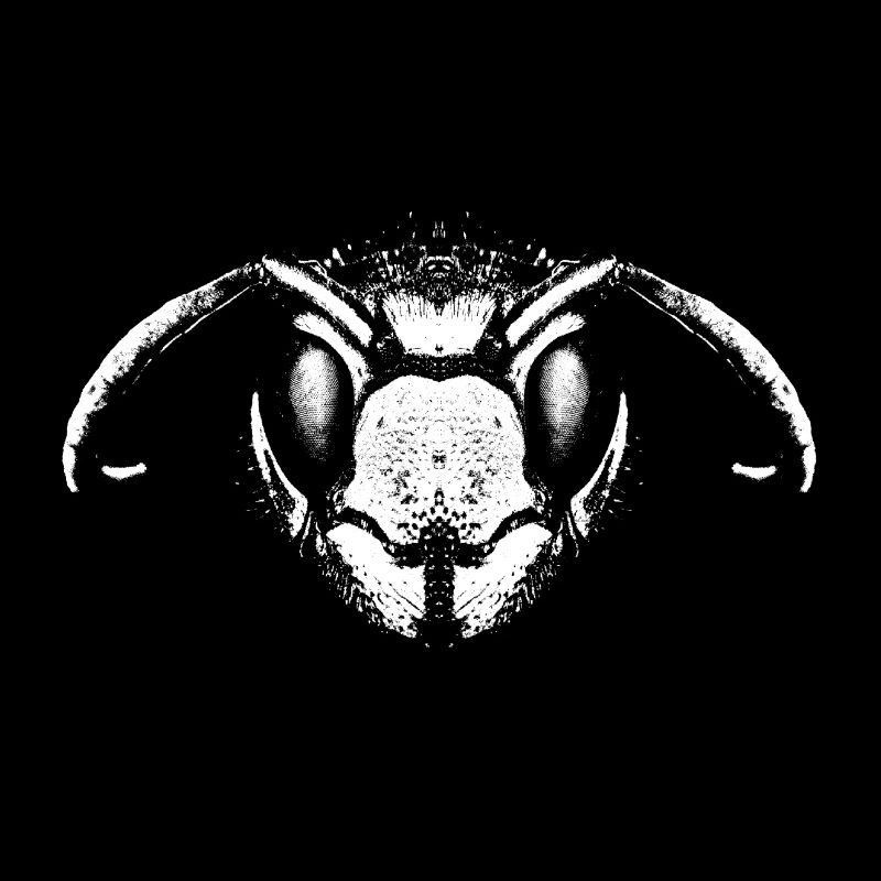 wasp / wasp