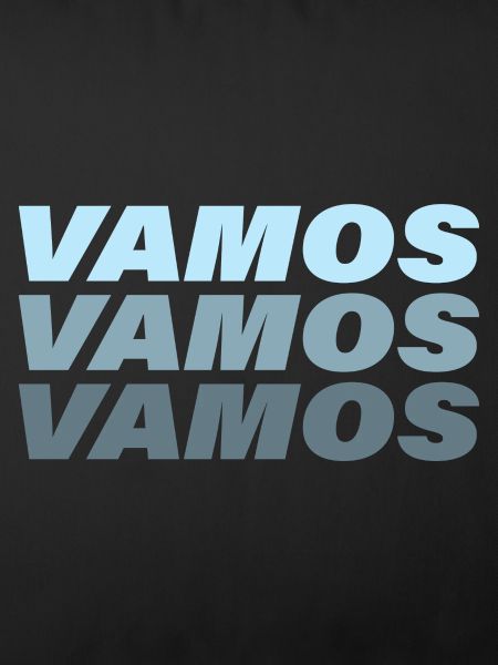 VAMOS