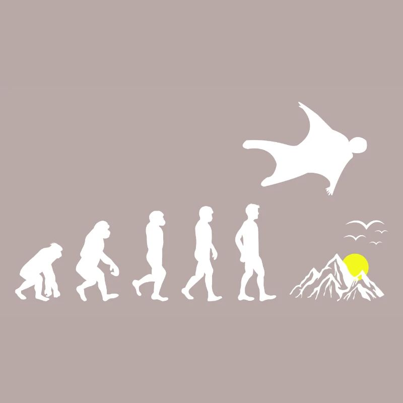Wingsuit flying Base Jumping Skydiving Evolution