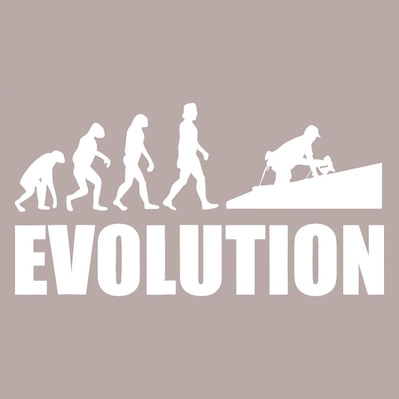 Evolution to Innovation