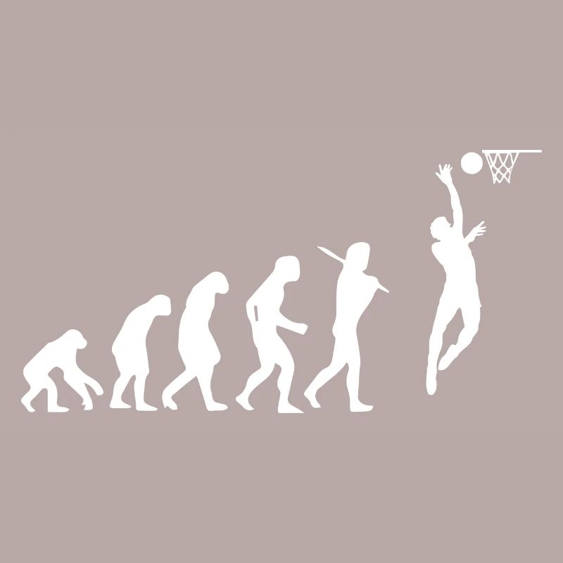 Basketball Basketballspieler Geschenk Evolution