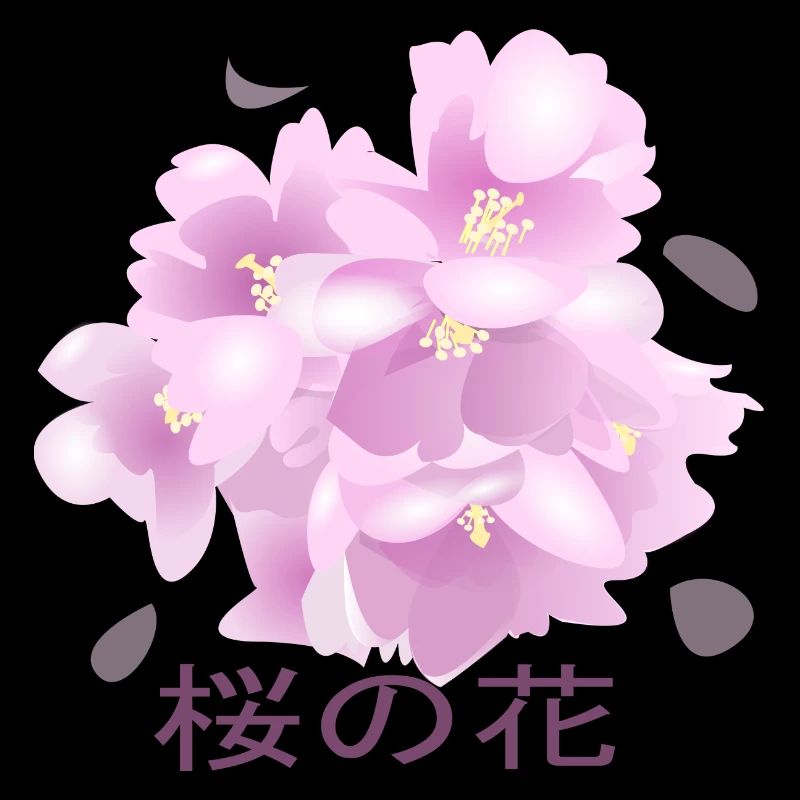 Cherry Blossoms