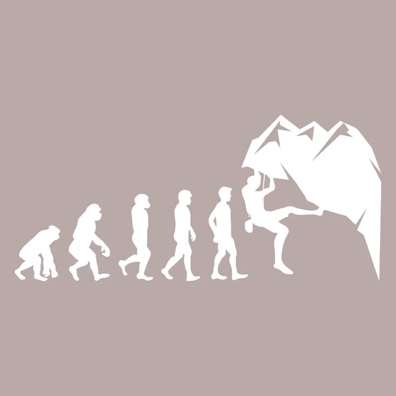 Klettern Boulder Wall Climber Evolution