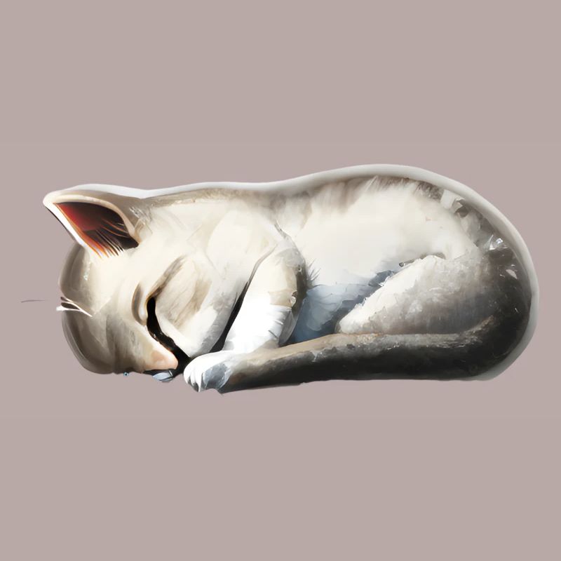 Sleeping cat