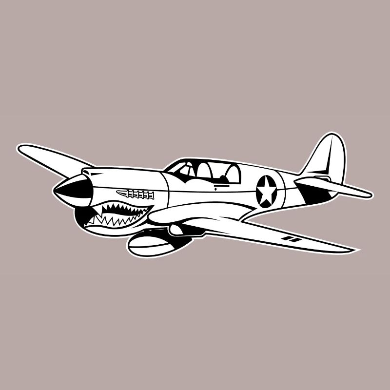 Fighter plane / warplane Warhawk 02_weiß
