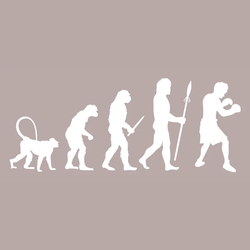 Evolution des Boxens