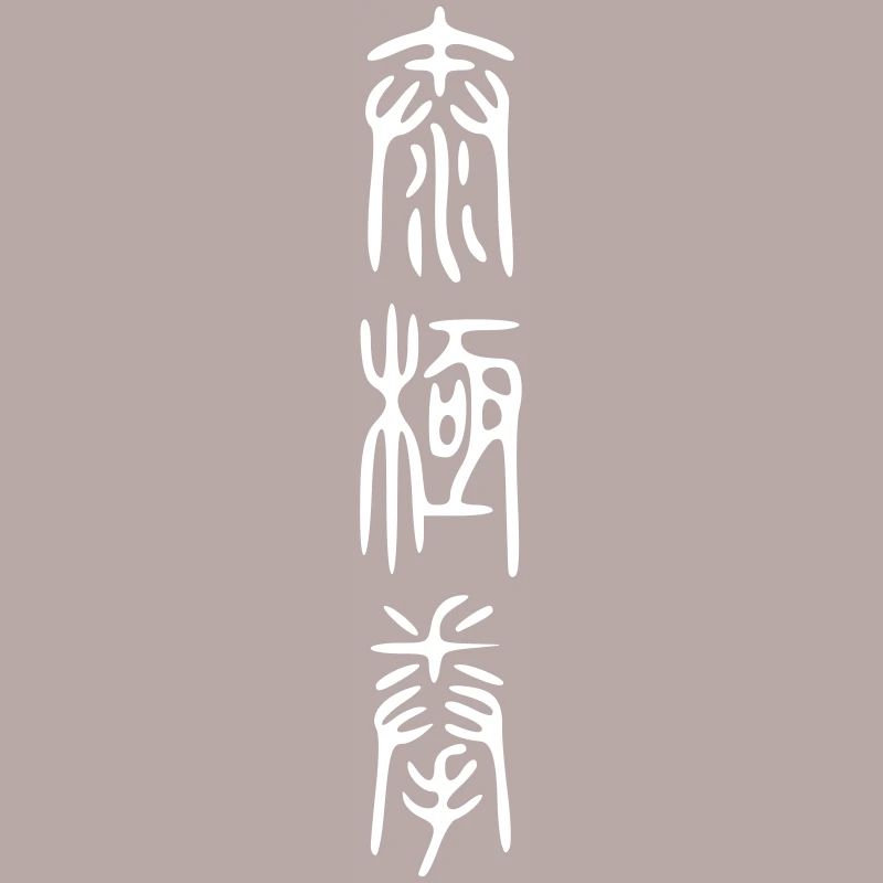 script de taiji II