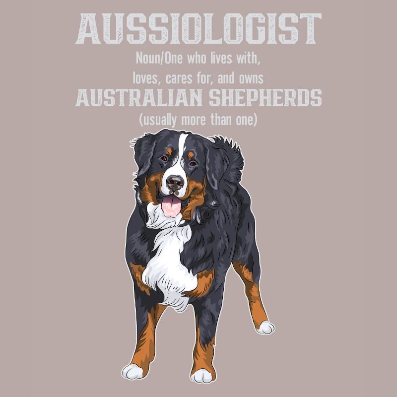 Australischer Schäferhund