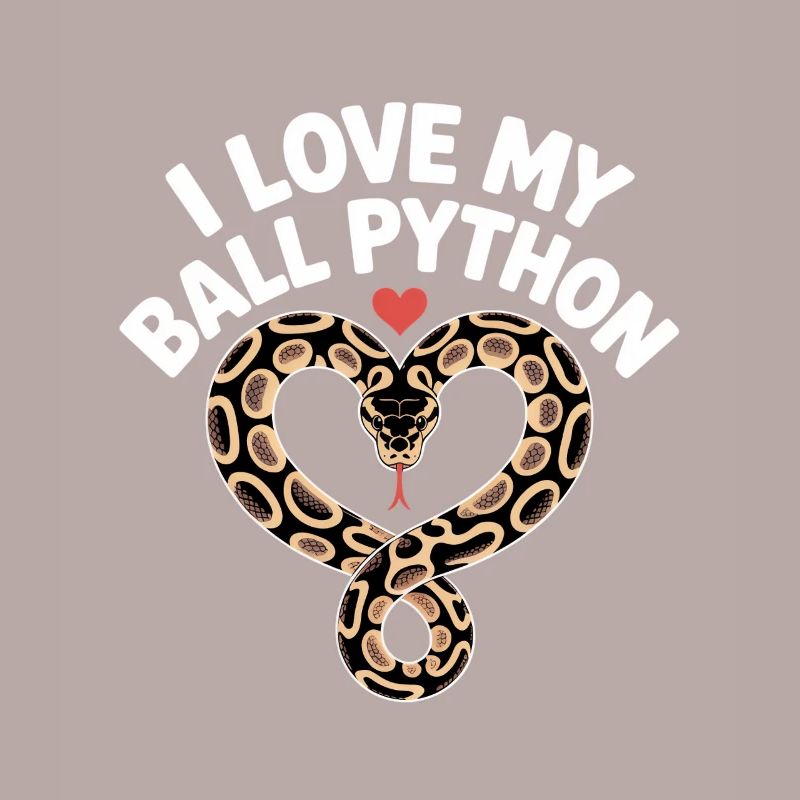 J’adore mon python royal ! Roi python