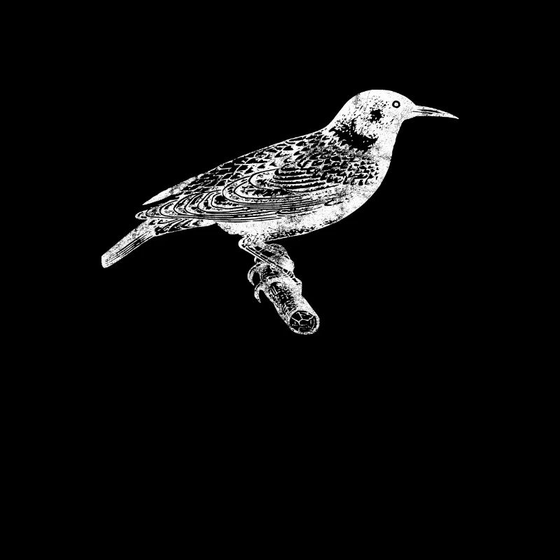 Vogel