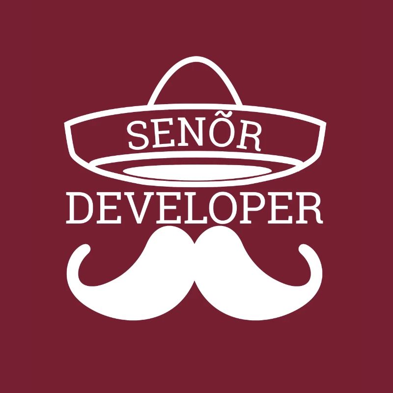 "Senor Developer, Senior Developer" Programmierer