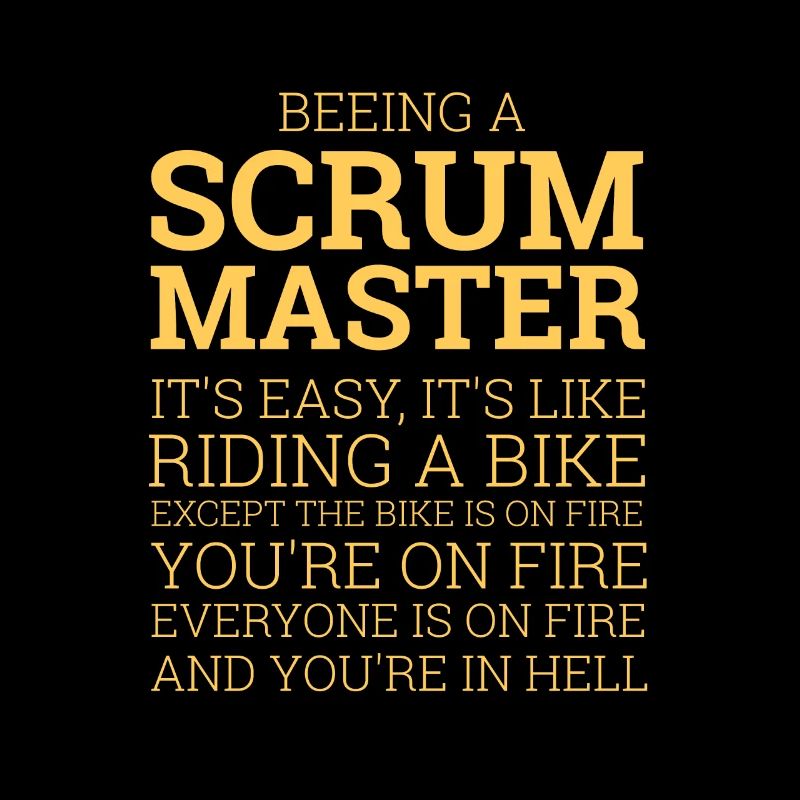 "Scrum Master - Riding a Bike" | programmer