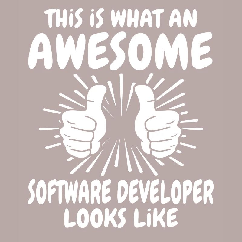 Software Developer
