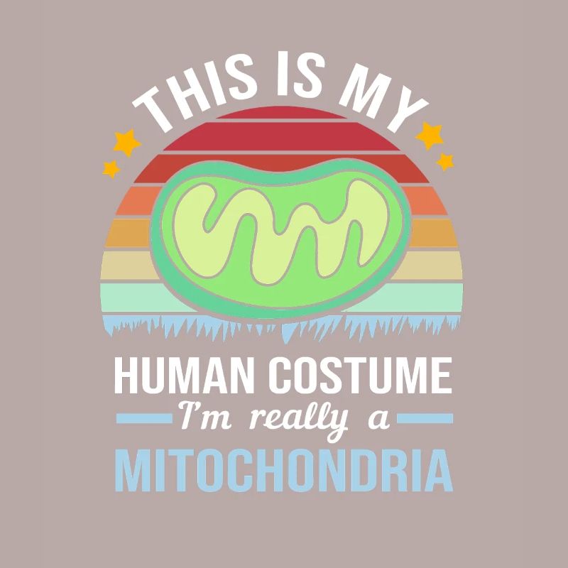 Formule structurelle de la molécule