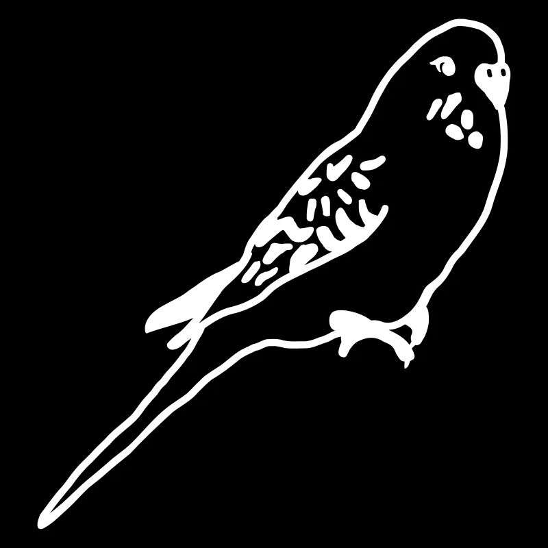 budgerigar