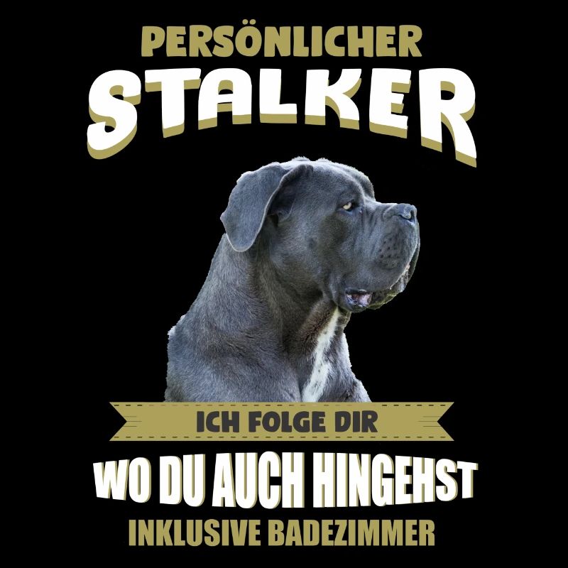 Cane Corso Hund - Cane Corso