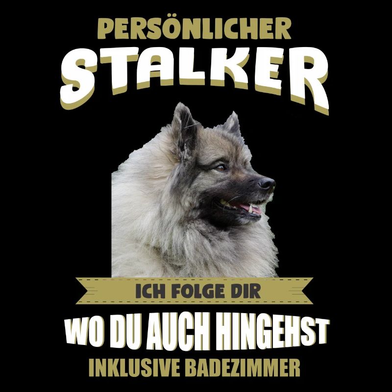 Wolfsspitz Hund - Wolfsspitz