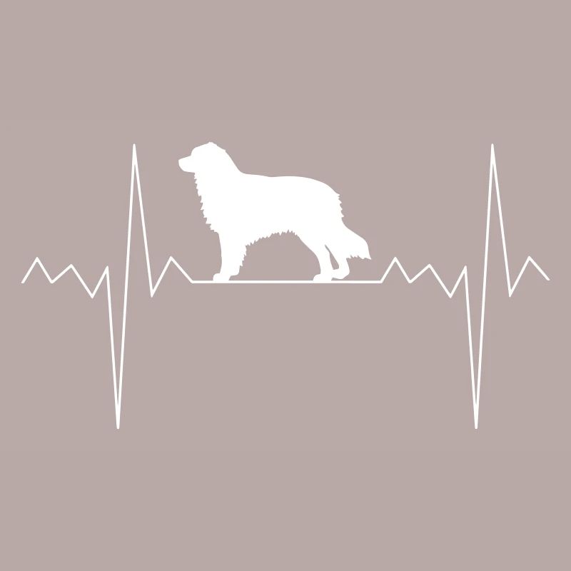 Herzschlag Herzfrequenz Australian Shepherd