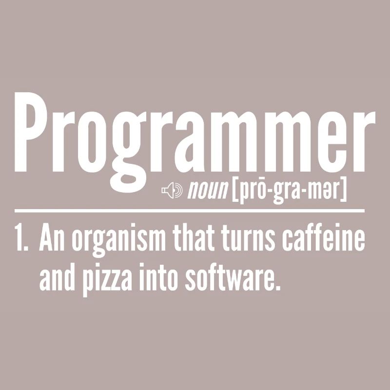 Programmierer