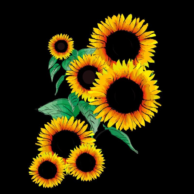 Sonnenblumen