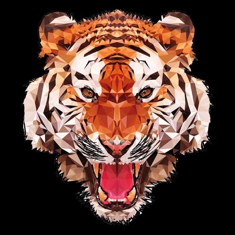 Conception de polygone de tigre