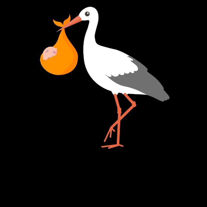 Cigogne avec bébé arrivée 2026