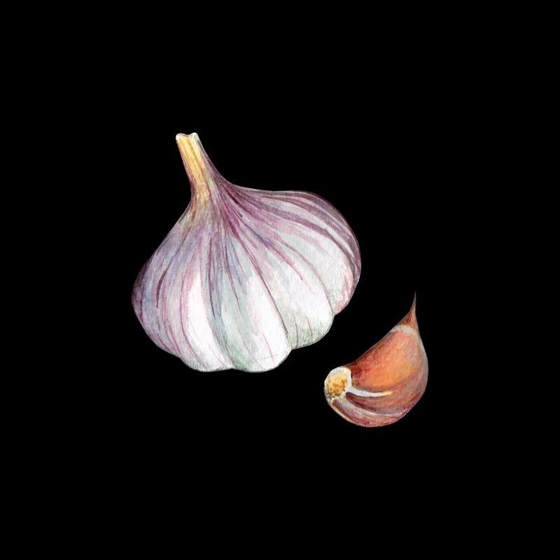 Knoblauch | Bestseller |