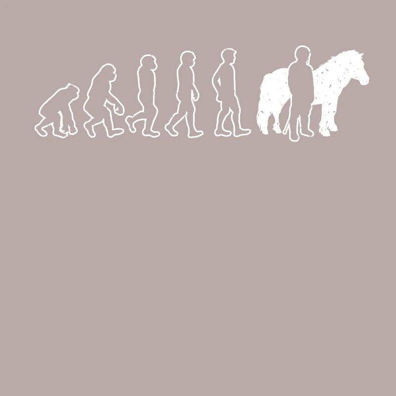 Islandpferd Isländer Evolution Island Pony Reiter
