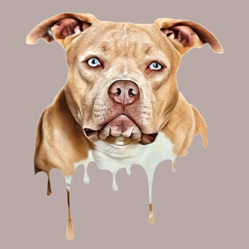 Bully Art American Bully Exotic Bully