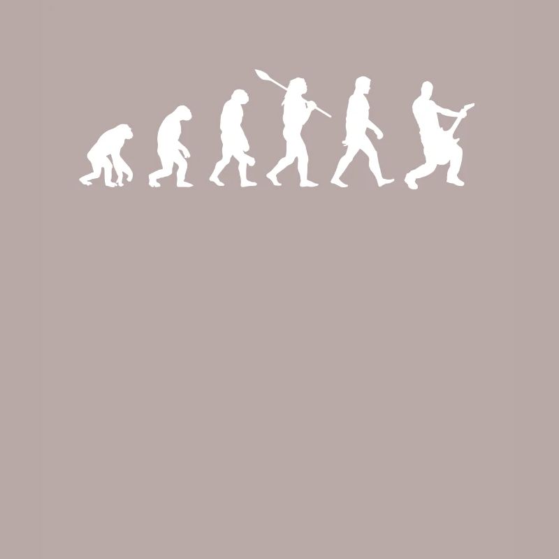 Évolution de la guitare