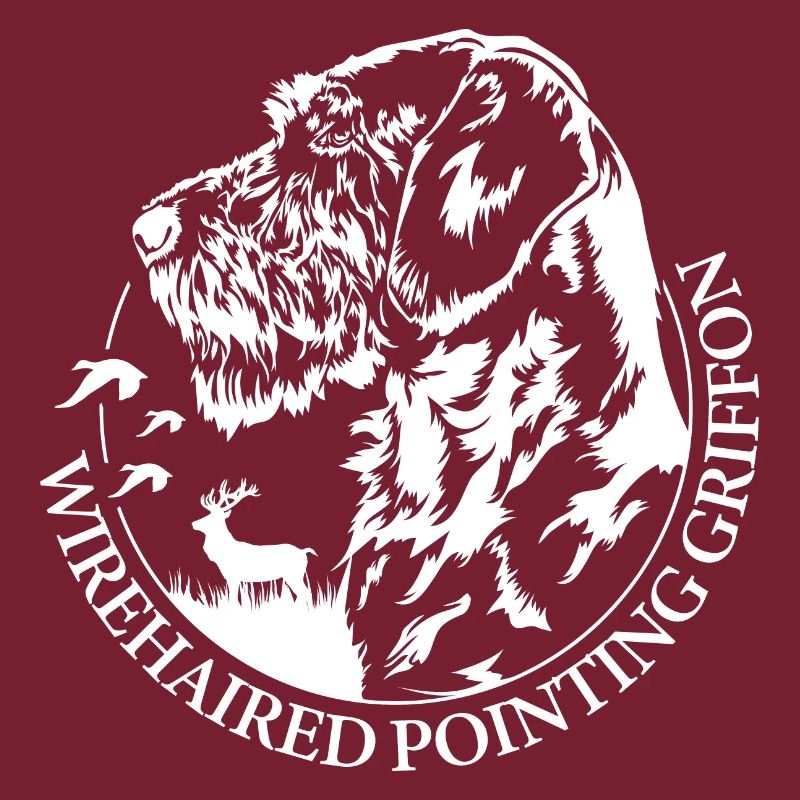 Wirehaired Pointing Griffon Portrait Hund Wilsigns
