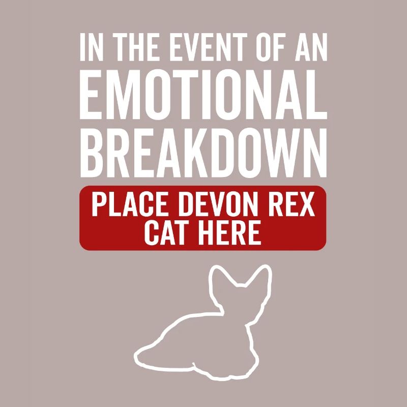 Émotionnel - Devon Rex Cat
