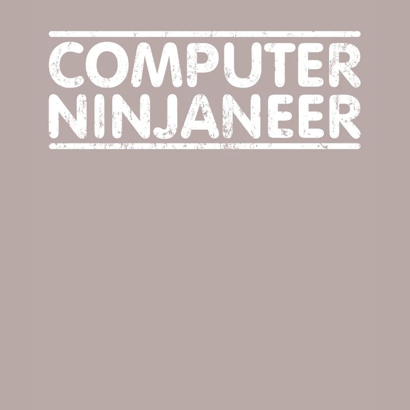 Ninjaneer - Computer Engineer