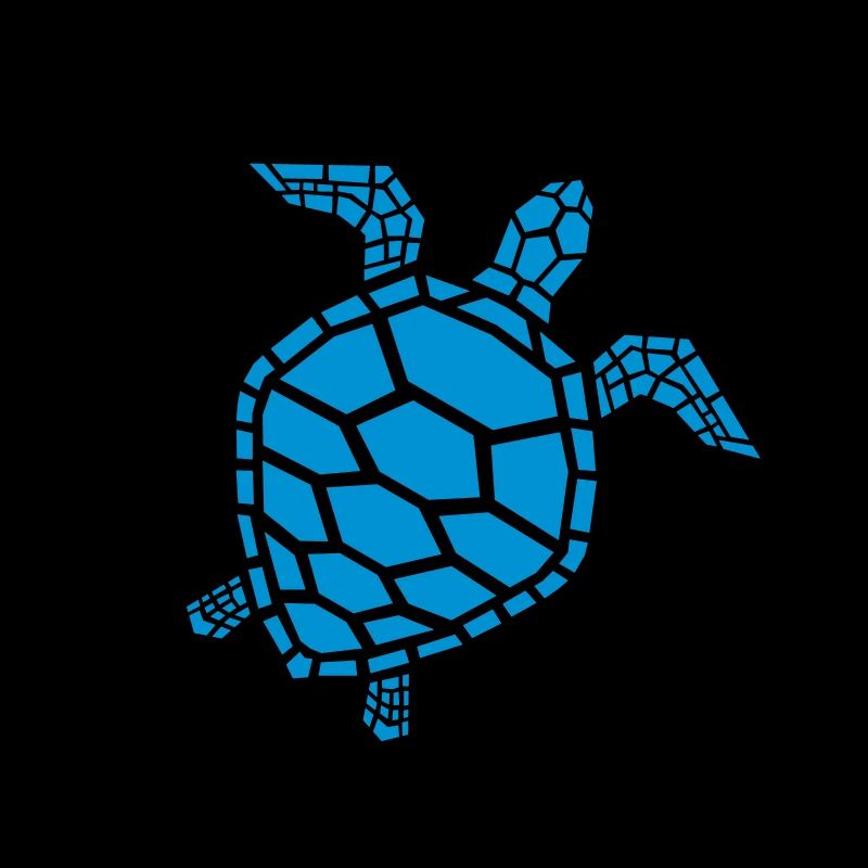 sea turtle