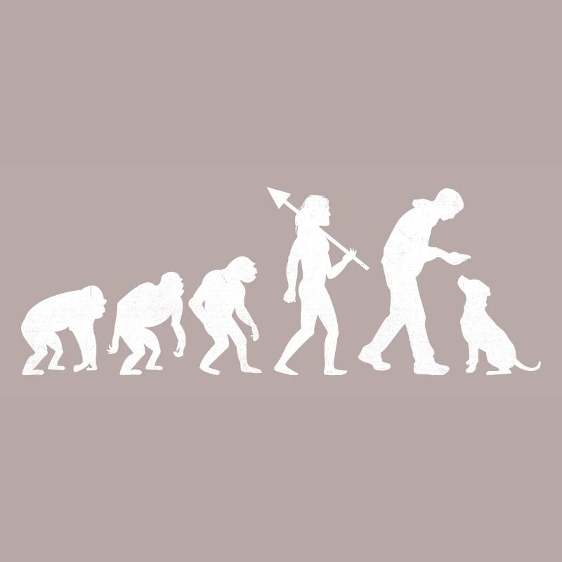 Retro Evolution Labrador Retriever Lab Dog Retriev