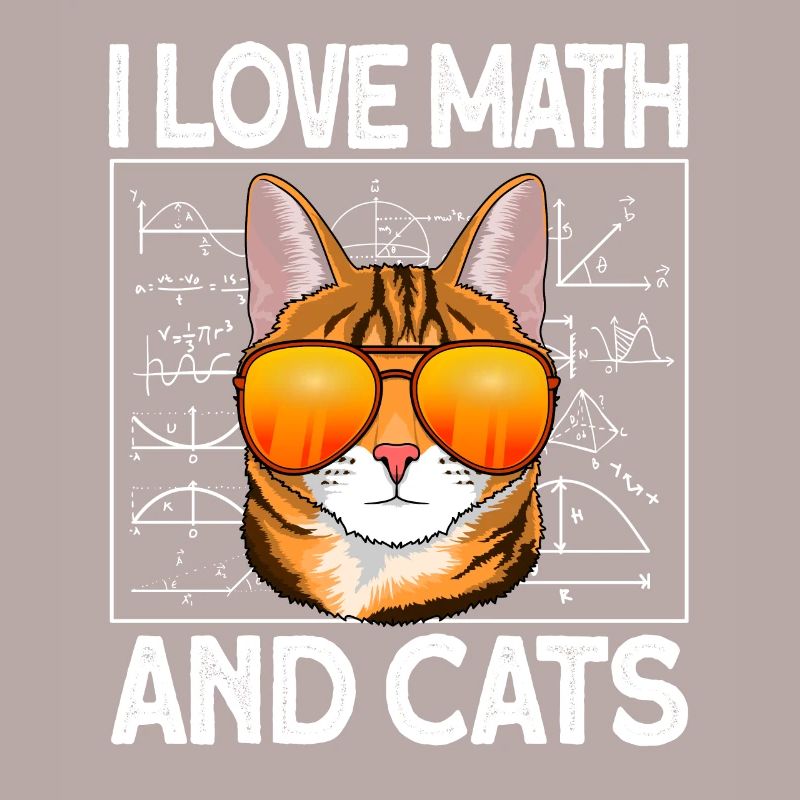 mathematics math teacher cat math arithmetic