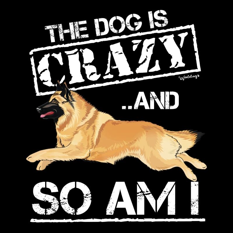Belgischer Schäferhund Crazy2
