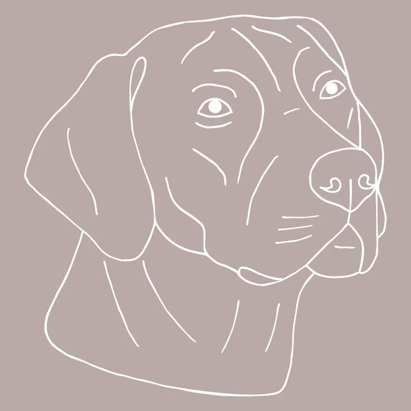 Rhodesian Ridgeback
