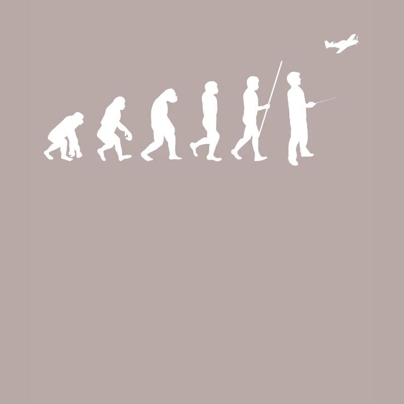 Evolution Model Flight Funny RC Airplane Flyer G