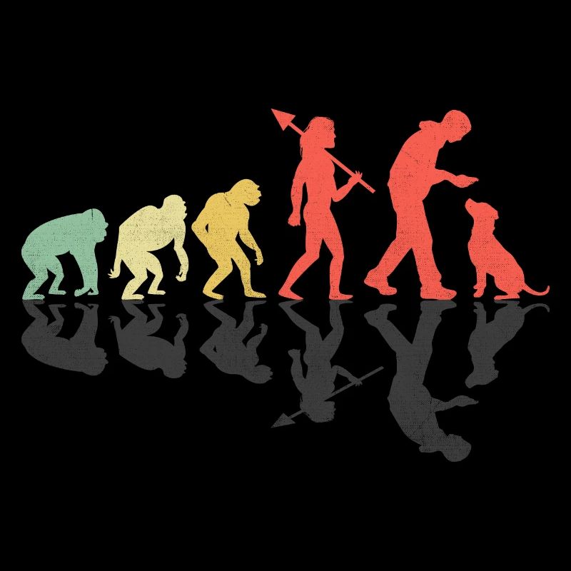 Evolution Labrador Retriever Lab Hund Retriever