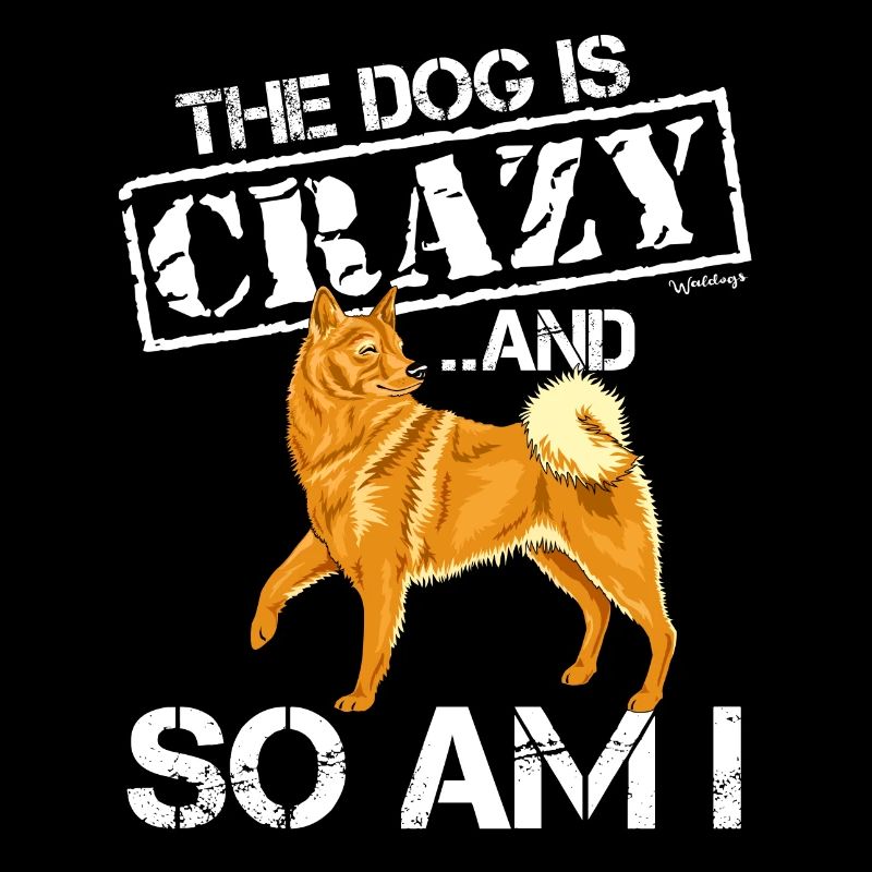 Finnish Spitz Crazy