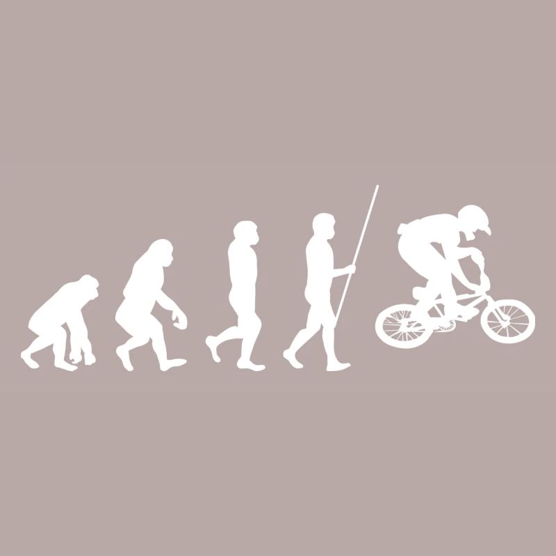BMX Evolution