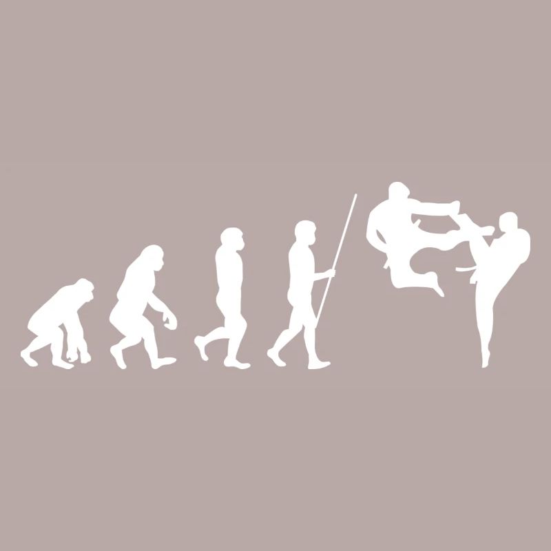 Évolution des arts martiaux