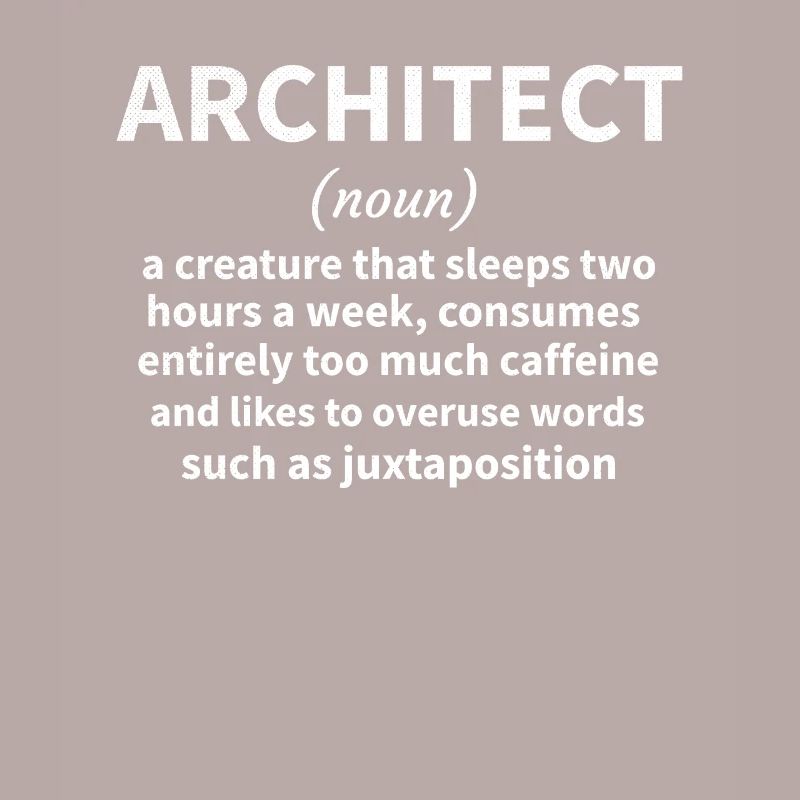 Architecture Gift Architecture Student Architect