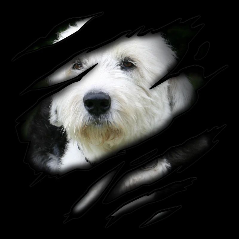Bobtail en moi