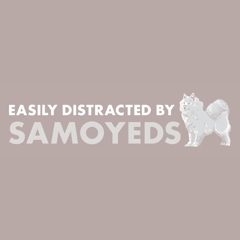 Easily Distracted By Samoyed