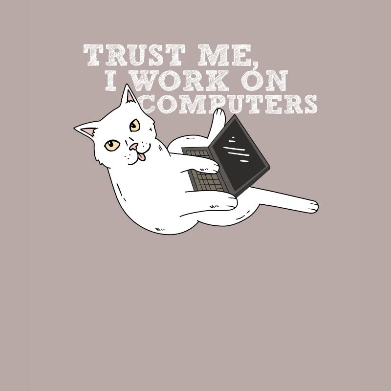 Computer cat programmer