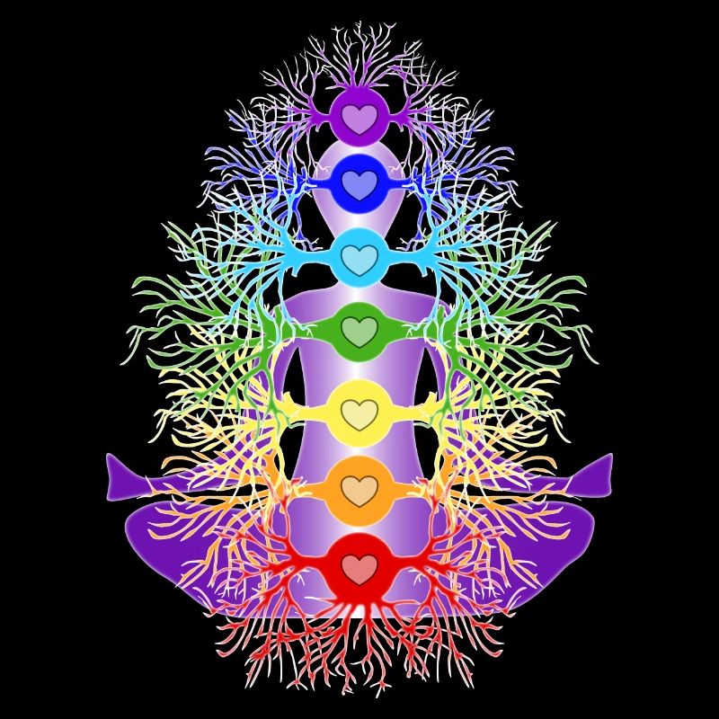 Chakras with their roots